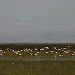 Sultan Pansion Bird Paradise Ovaciftlik