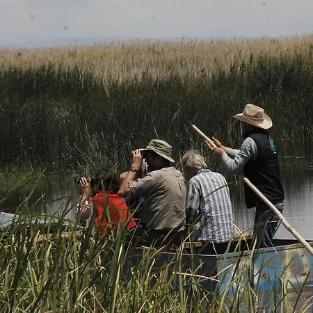 Sultan Pansion Bird Paradise