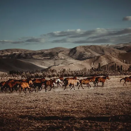 Sultan Pansion Bird Paradise * Ovaciftlik