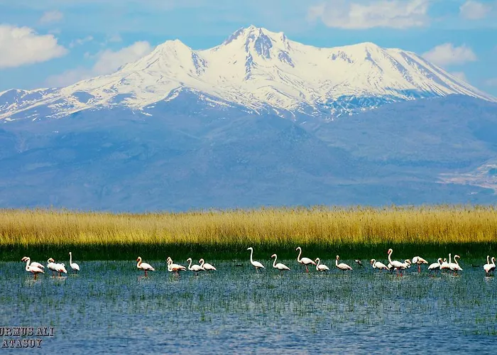 Gæstehus Sultan Pansion Bird Paradise