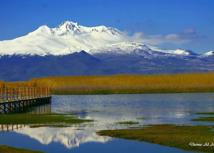 Sultan Pansion Bird Paradise * Ovaciftlik