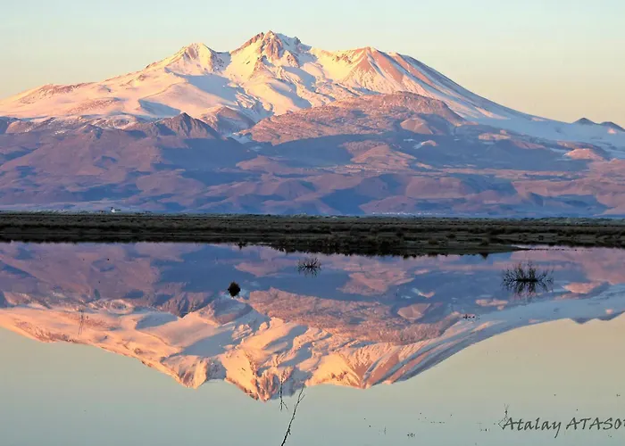 Sultan Pansion Bird Paradise