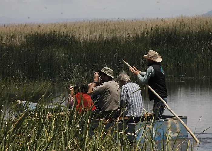 Sultan Pansion Bird Paradise