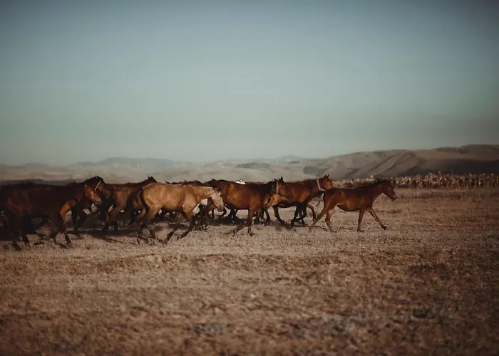 Sultan Pansion Bird Paradise