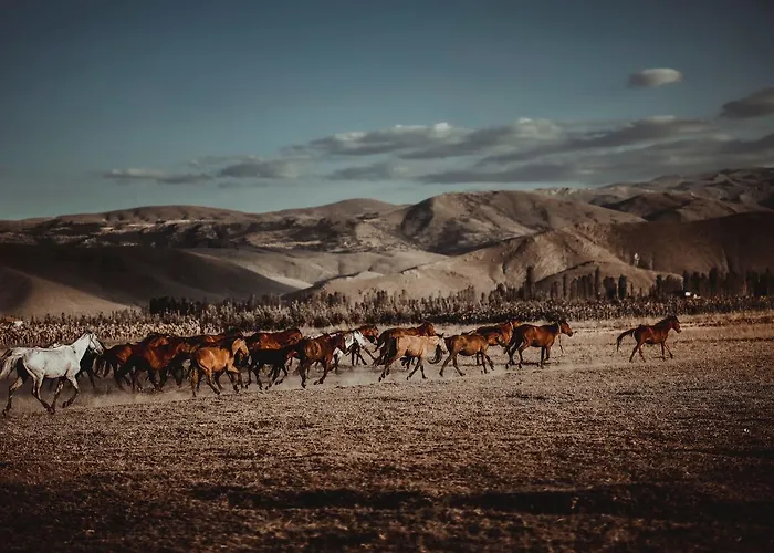 Sultan Pansion Bird Paradise * Ovaciftlik