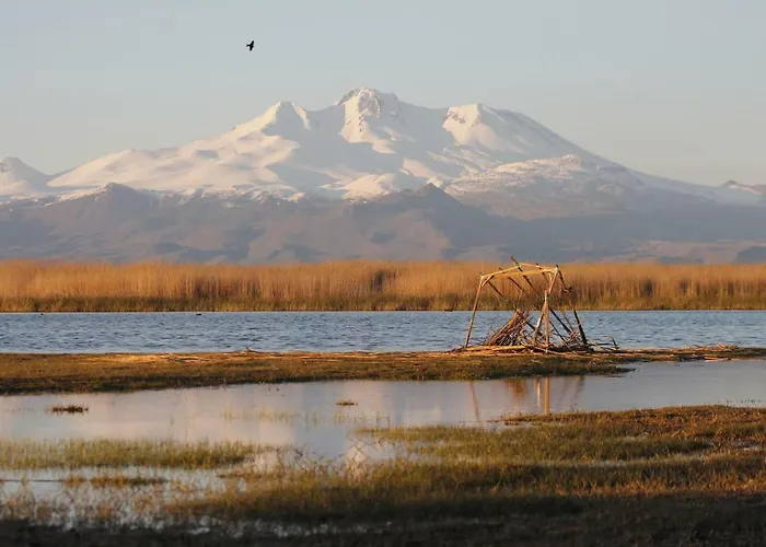 Sultan Pansion Bird Paradise * Ovaciftlik