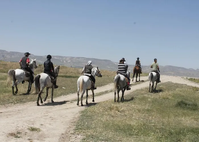 Sultan Pansion Bird Paradise *