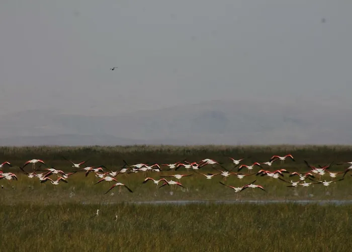 Sultan Pansion Bird Paradise Ovaciftlik